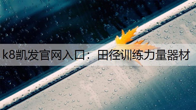 k8凯发官网入口：田径训练力量器材