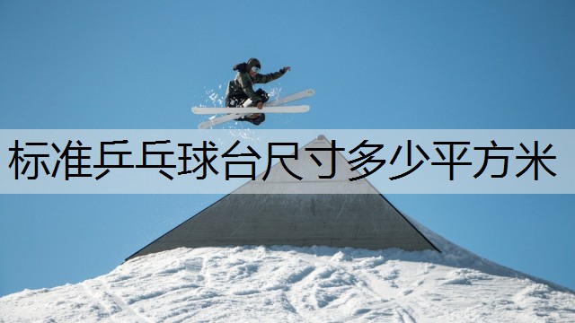 标准乒乓球台尺寸多少平方米