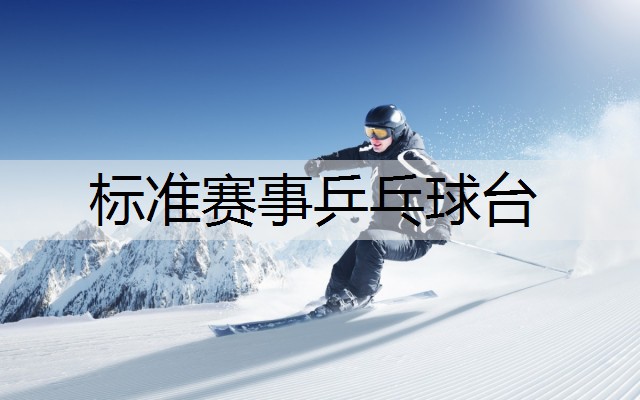 标准赛事乒乓球台