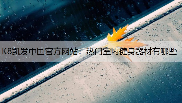 K8凯发中国官方网站：热门室内健身器材有哪些