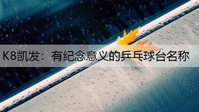 K8凯发：有纪念意义的乒乓球台名称