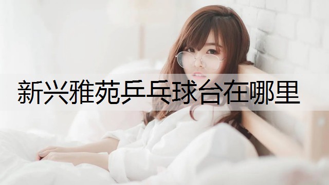 新兴雅苑乒乓球台在哪里