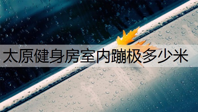 太原健身房室内蹦极多少米