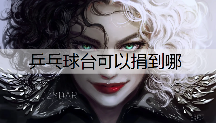 乒乓球台可以捐到哪