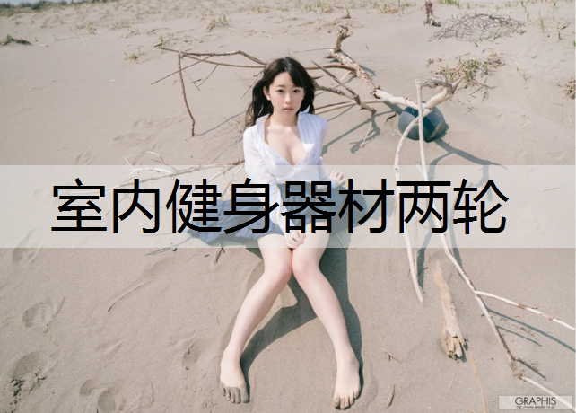 室内健身器材两轮