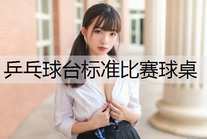乒乓球台标准比赛球桌