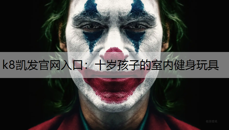 k8凯发官网入口：十岁孩子的室内健身玩具