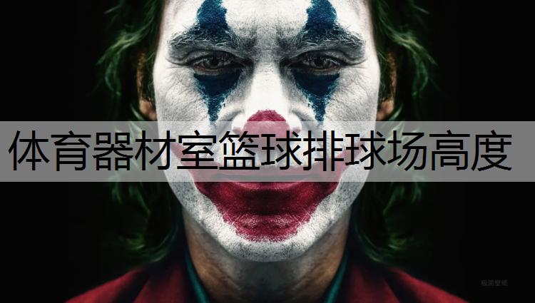 体育器材室篮球排球场高度