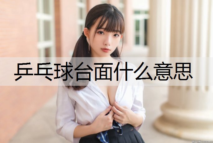 乒乓球台面什么意思