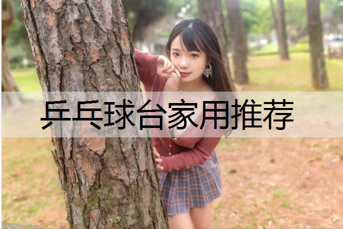 乒乓球台家用推荐