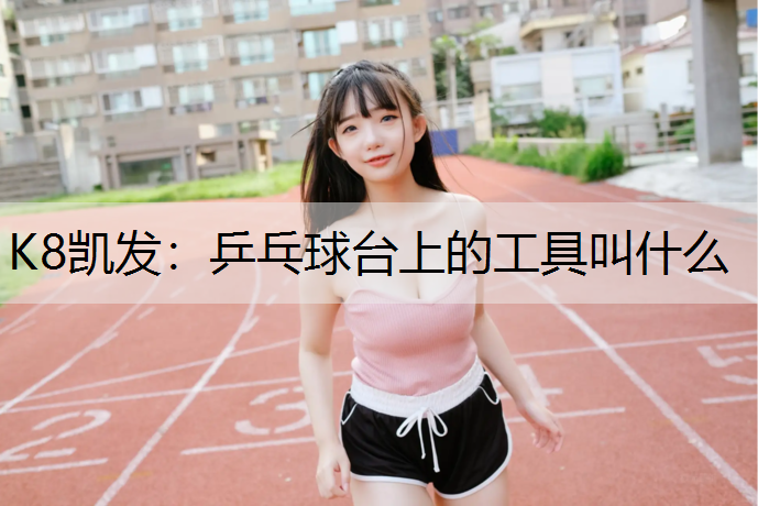 K8凯发：乒乓球台上的工具叫什么