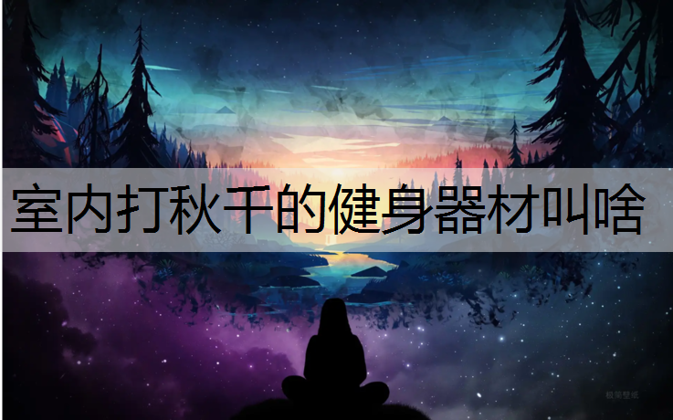 室内打秋千的健身器材叫啥