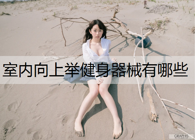 室内向上举健身器械有哪些