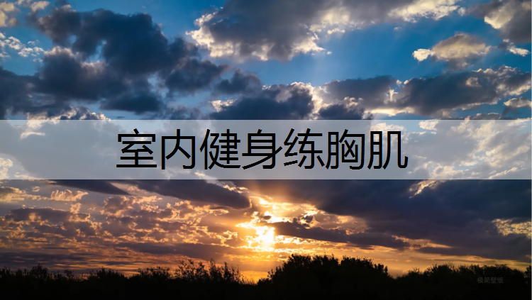 室内健身练胸肌