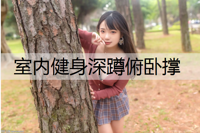 室内健身深蹲俯卧撑