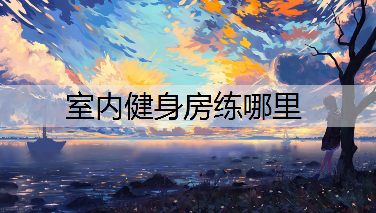 室内健身房练哪里