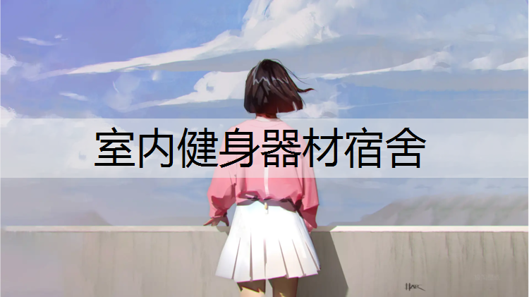 室内健身器材宿舍