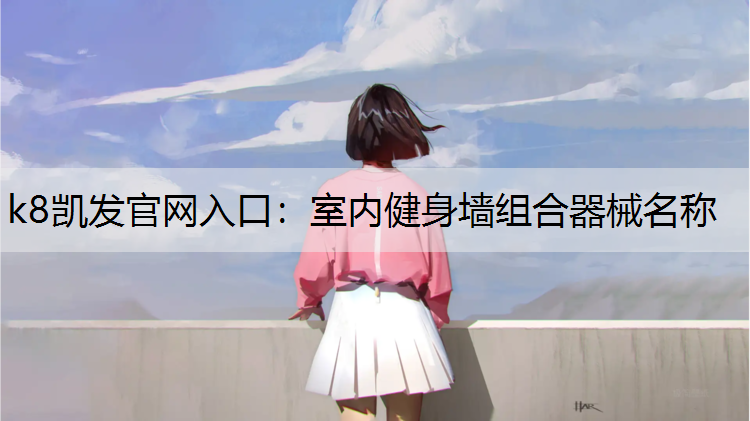 k8凯发官网入口：室内健身墙组合器械名称