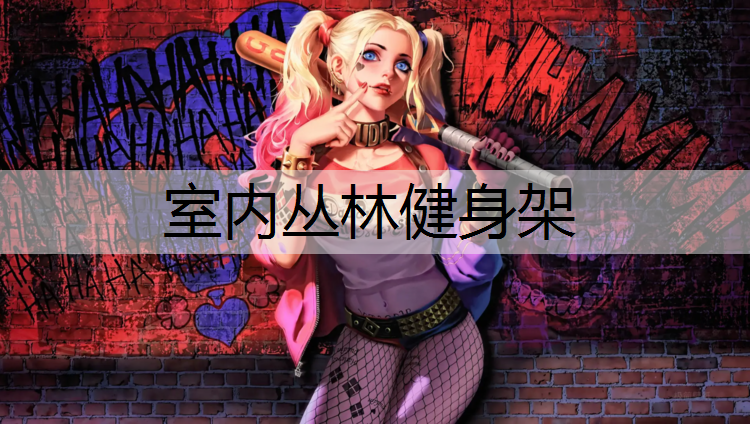 室内丛林健身架
