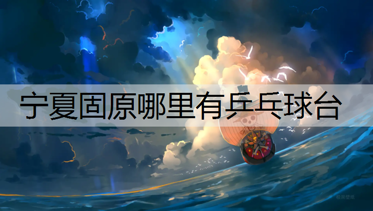 宁夏固原哪里有乒乓球台