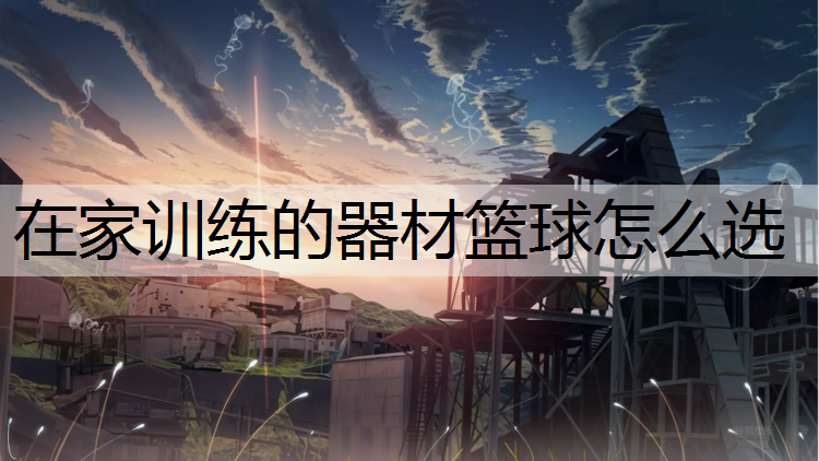 在家训练的器材篮球怎么选