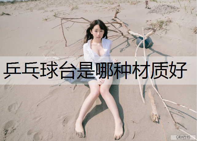 乒乓球台是哪种材质好