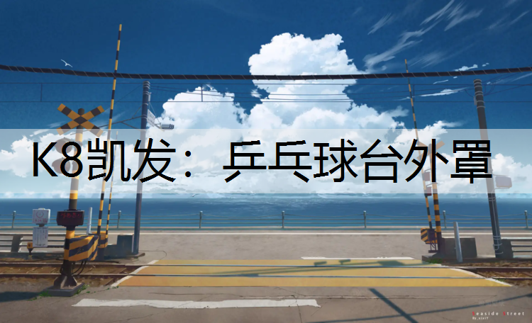 K8凯发：乒乓球台外罩