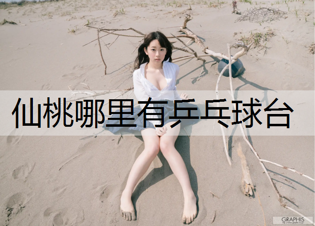 仙桃哪里有乒乓球台