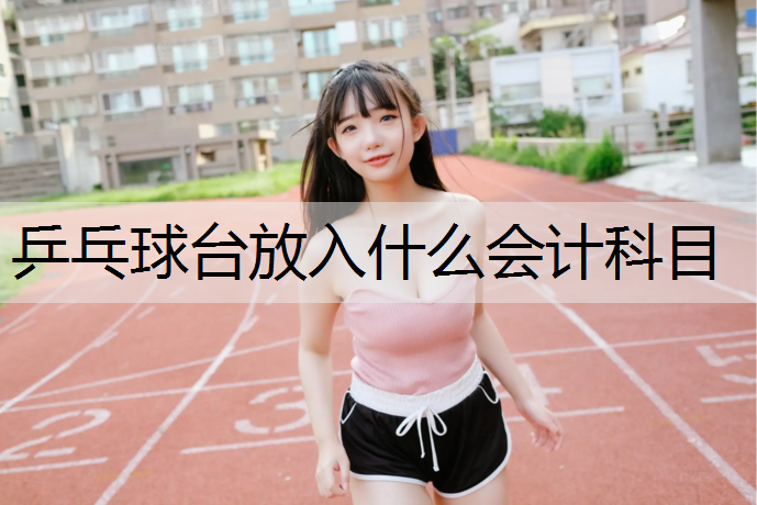 乒乓球台放入什么会计科目