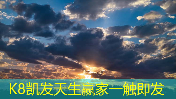 K8凯发天生赢家一触即发：嘉兴健身塑胶跑道报价
