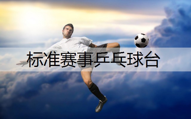 标准赛事乒乓球台
