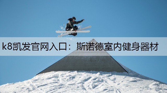 斯诺德室内健身器材