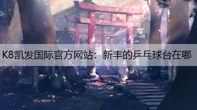 新丰的乒乓球台在哪