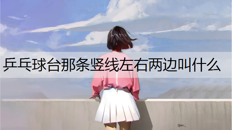 乒乓球台那条竖线左右两边叫什么