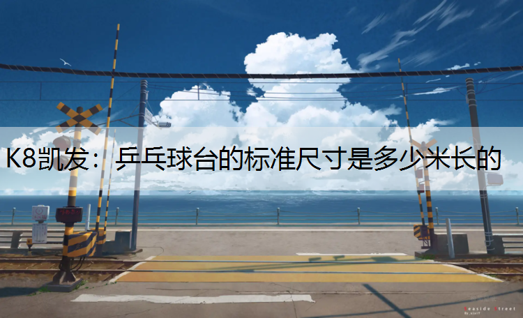 乒乓球台的标准尺寸是多少米长的