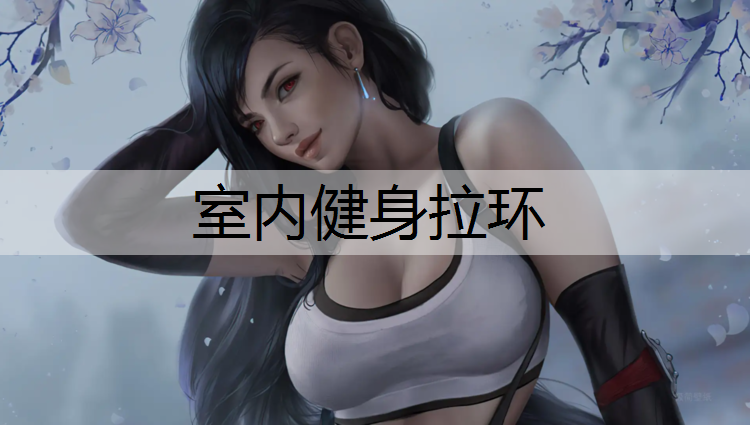室内健身拉环