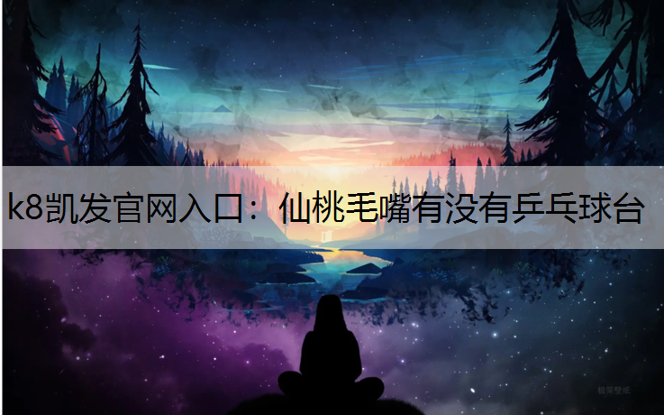 仙桃毛嘴有没有乒乓球台