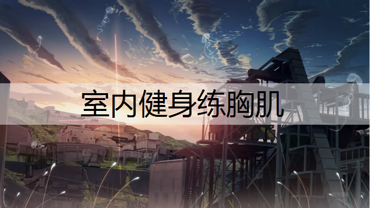室内健身练胸肌