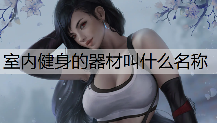 室内健身的器材叫什么名称