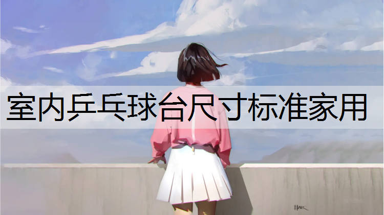 室内乒乓球台尺寸标准家用