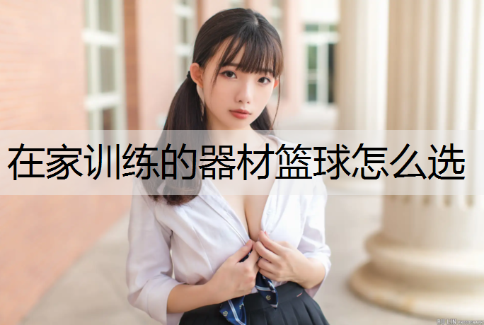 在家训练的器材篮球怎么选