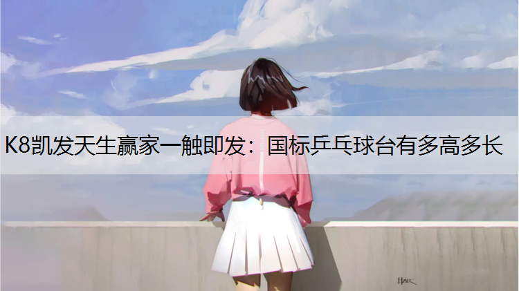 国标乒乓球台有多高多长