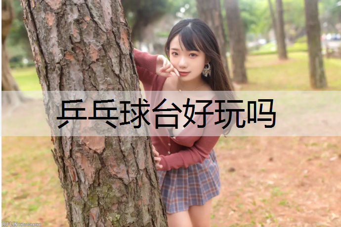 乒乓球台好玩吗