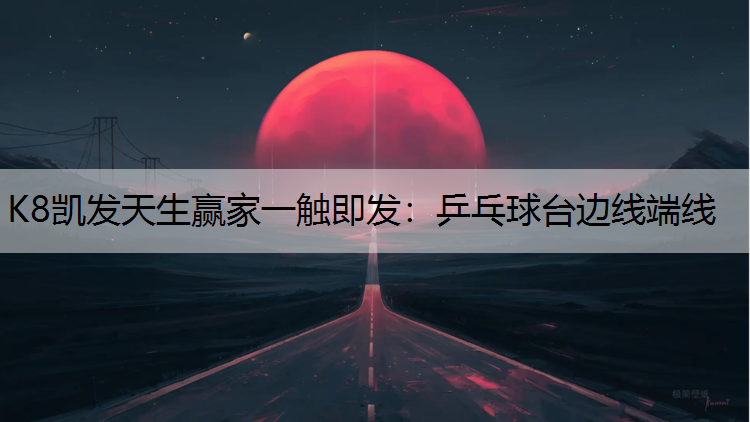 乒乓球台边线端线